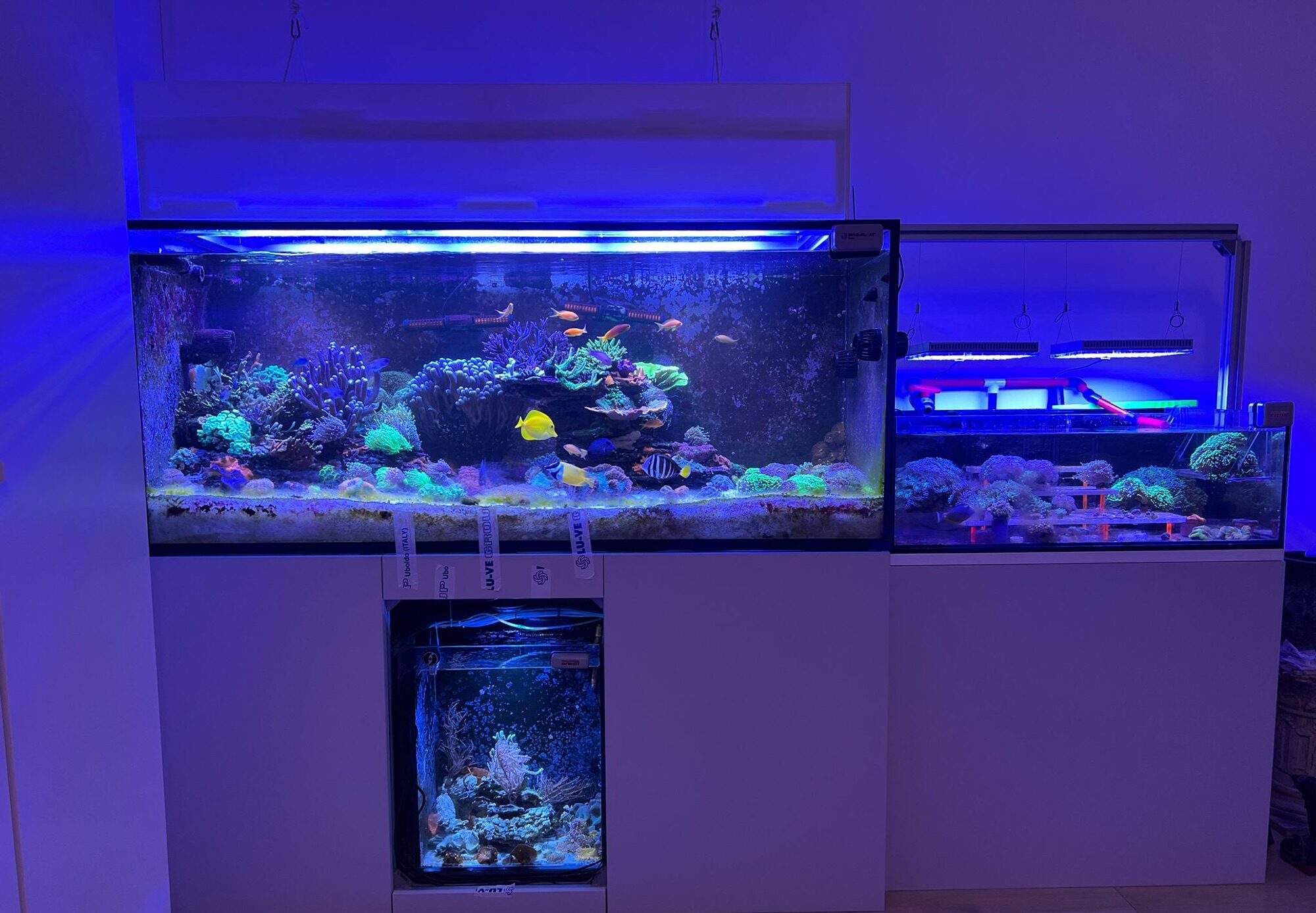 Rivestimento su misura per acquario a Milano